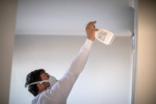 Best Home Mold Removal  in Heath, TX
