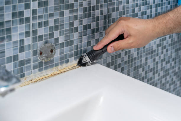 Best Attic Mold Removal  in Heath, TX