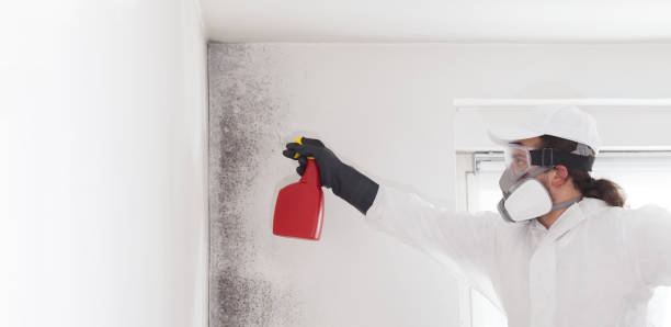 Best Residential Mold Removal  in Heath, TX